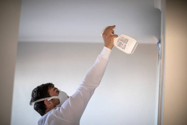 Best HVAC Mold Remediation in Shpee Neck, MA
