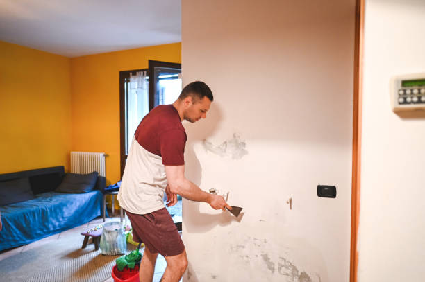 Best Commercial Mold Remediation in Shpee Neck, MA